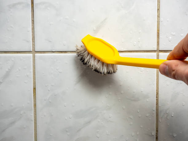 Best Same-Day Mold Removal  in Wagener, SC