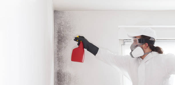 Crawl Space Mold Removal in Wagener, SC